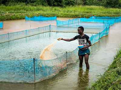 Fish Farming