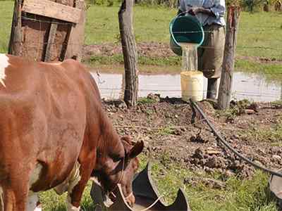 Mixed Farming